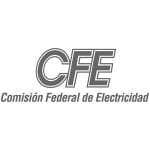 19-CFE CFE