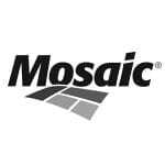 42-Mosaic Mosaic