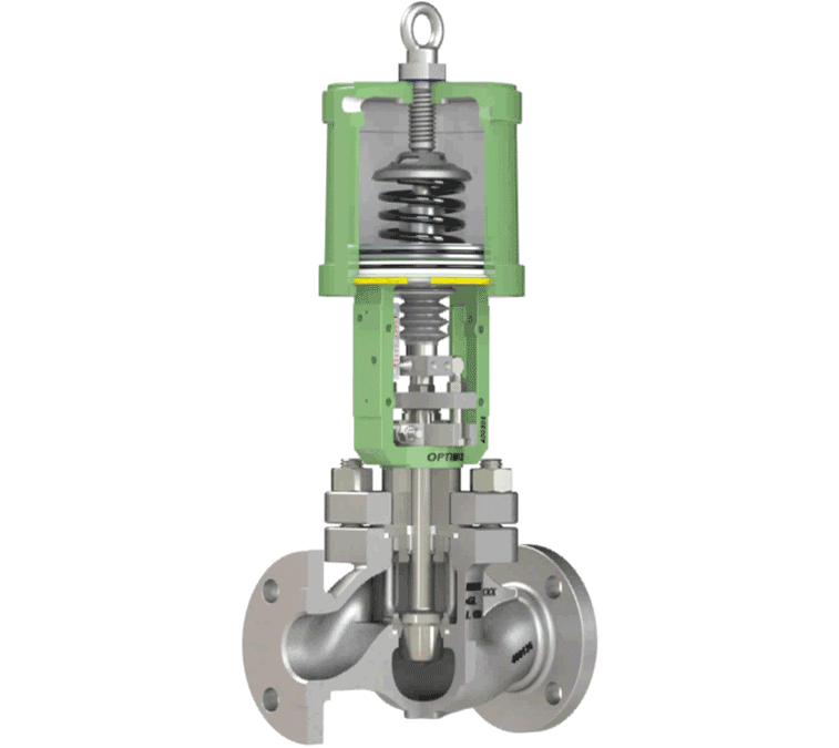 Trimteck OpGL Globe Control Valve