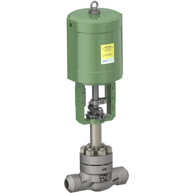 Trimteck OpGL Globe Control Valve 3d rendering